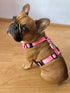 Arnes Doble Agarre Rosa